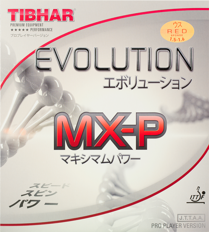 Tibhar Evolution MX-P – Schwamm-Detailansicht.