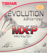 Tibhar Evolution MX-P – Schwamm-Detailansicht.