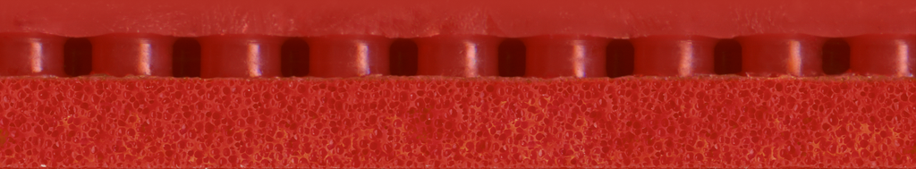 Tibhar Evolution MX-S – Schwamm-Detailansicht.