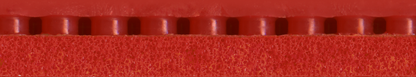 Tibhar Evolution MX-S – Schwamm-Detailansicht.