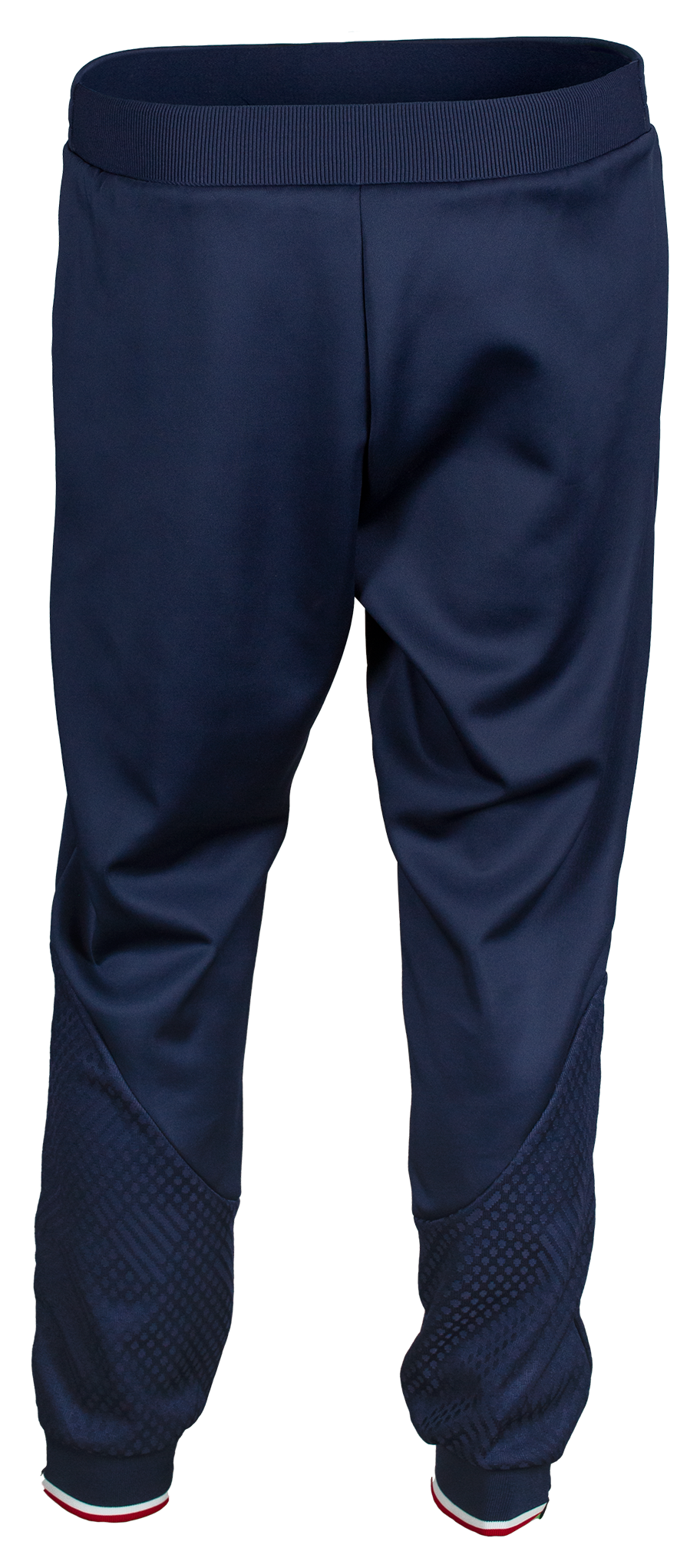 Tibhar Osmium France Trainingshose in Marine – Rückansicht.