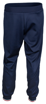 Tibhar Osmium France Trainingshose in Marine – Rückansicht.