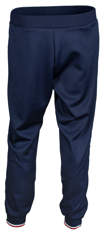 Tibhar Osmium France Trainingshose in Marine – Rückansicht.
