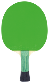 Tibhar Pro Green Edition Komplettschläger – Rückseite.